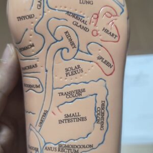 Formación Online: Reflexología Podal